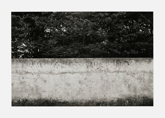 Mod-4-no-5-20-photograph-giclee-on-Hahnemuhle-paper-40-x-60-cm-1993