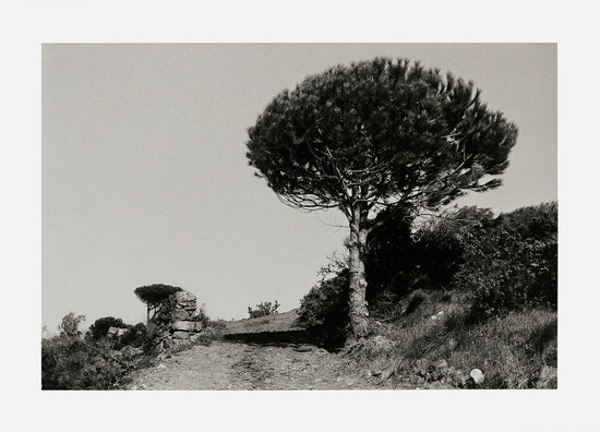 
                  
                    Mod-3-no-5-20-photograph-giclee-on-Hahnemuhle-paper-40-x-60-cm-1993
                  
                